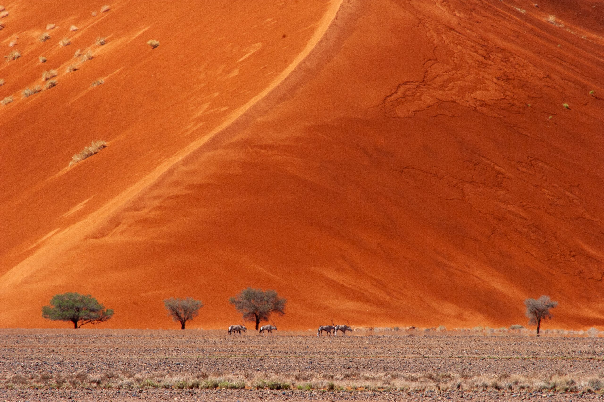 Namibia 2011
