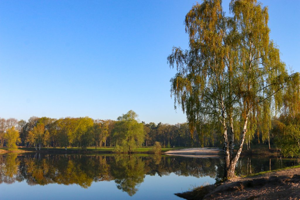 Falkensteinsee Ganderkesee